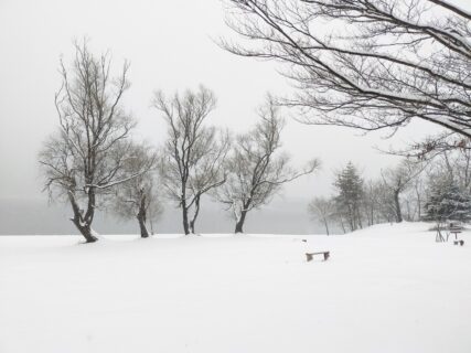 積雪のお知らせ