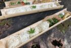 流しそうめん会開催！　7/19-21